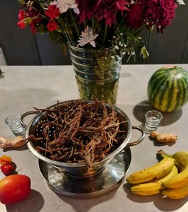 Jamaican coconut root organic wildsourced 50g - kidney and urinary health