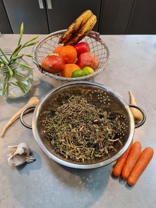 Jamaican dog blood bush herbal tea 50g - women's health fertility menstrual support