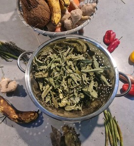 Jamaican guava leaves dried organic 50g - traditional herbal tea for digestive health