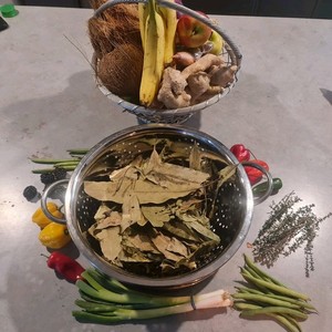 Jamaican mango leaves dried organic 50g - traditional herb for blood sugar support