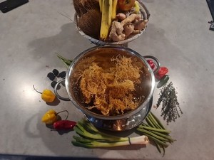 Jamaican gold sea moss organic raw 50g - 92 minerals superfood thyroid immunity