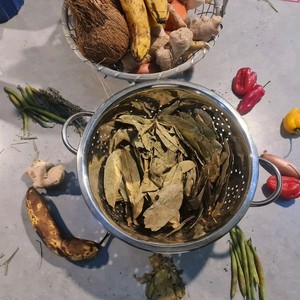 Jamaican soursop leaves dried wildsourced 50g - immune support and sleep aid