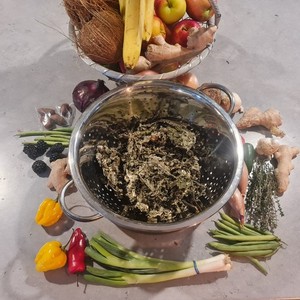 Jamaican trumpet tree leaves dried organic 50g - respiratory and blood pressure support